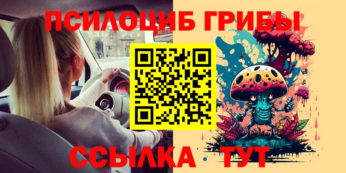 Краснознаменск  Галлюциногенные грибы Psilocybe  хочу   Вход с VPN 